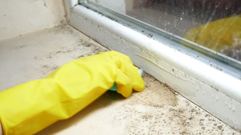 Best Residential Mold Inspection & Testing  in Manawa, WI